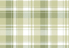 Carregar imagem no visualizador da galeria, MOMI- TARTAN
