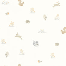 Charger l'image dans la galerie, COMPANHEIROS DA FLORESTA