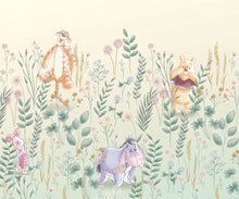 Carregar imagem no visualizador da galeria, WINNIE THE POOH - HIDE AND SEEK