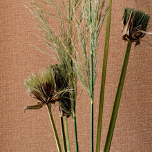 Carregar imagem no visualizador da galeria, LIN