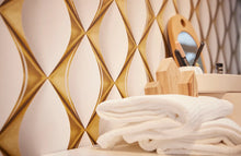 Charger l'image dans la galerie, SPA SENS