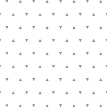 Carica l'immagine nel visualizzatore di Gallery, OUR PLANET BERMUDA TRIANGLE