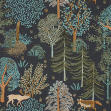 Charger l'image dans la galerie, BALLADE