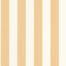 Carregar imagem no visualizador da galeria, BALTIC RAYURE