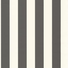 Carregar imagem no visualizador da galeria, BALTIC RAYURE