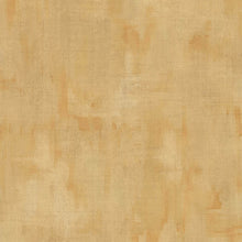 Charger l'image dans la galerie, PATIN