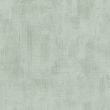 Charger l'image dans la galerie, PATIN