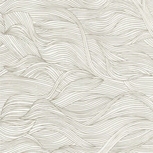 Charger l'image dans la galerie, LE CALAMAR