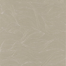 Charger l'image dans la galerie, LE CALAMAR