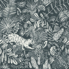 Load image into Gallery viewer, PASHU