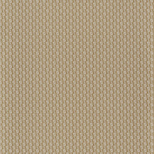 Carregar imagem no visualizador da galeria, TRENZA