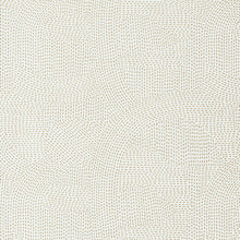 Carregar imagem no visualizador da galeria, FRANZ