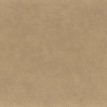 Charger l'image dans la galerie, ARGILE