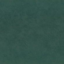 Charger l'image dans la galerie, ARGILE