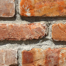 Carregar imagem no visualizador da galeria, BACKSTEIN