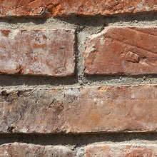 Carregar imagem no visualizador da galeria, BACKSTEIN