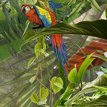 Carregar imagem no visualizador da galeria, WILD BRIDGE