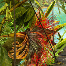 Carregar imagem no visualizador da galeria, WILD BRIDGE