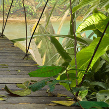 Carregar imagem no visualizador da galeria, WILD BRIDGE