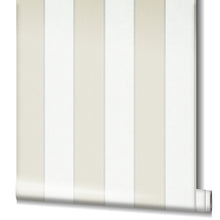 Carregar imagem no visualizador da galeria, PIGMENTS