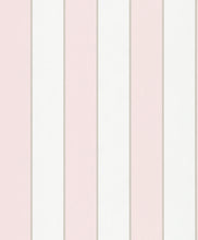 Carregar imagem no visualizador da galeria, PIGMENTS