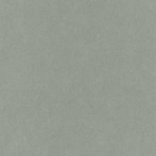 Cargar imagen en el visor de la galería, ALGODÓN