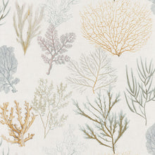 Carregar imagem no visualizador da galeria, CORAIL