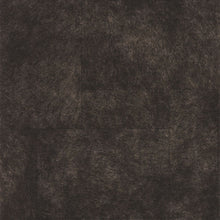 Load image into Gallery viewer, WESTERN