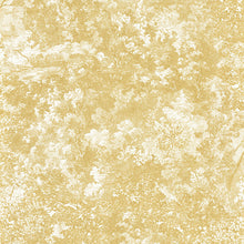 Charger l'image dans la galerie, CANOPEE