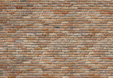 Carregar imagem no visualizador da galeria, BACKSTEIN