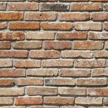 Carregar imagem no visualizador da galeria, BACKSTEIN