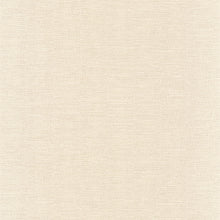 Carica l'immagine nel visualizzatore di Gallery, PLATINUM