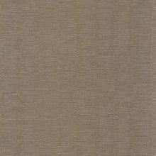 Carica l'immagine nel visualizzatore di Gallery, PLATINUM