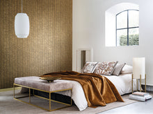 Charger l'image dans la galerie, SCANDUM