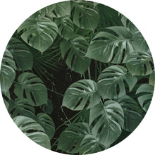 Charger l'image dans la galerie, ROMAN MONSTERA