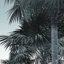 Carregar imagem no visualizador da galeria, GUANABARA