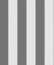 Charger l'image dans la galerie, RAYURES HAILEY