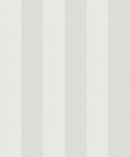 Charger l'image dans la galerie, RAYURES HAILEY