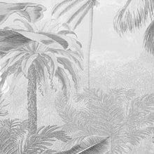 Load image into Gallery viewer, AMAZONIA BLACK AND WHITE