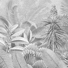 Load image into Gallery viewer, AMAZONIA BLACK AND WHITE