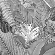 Load image into Gallery viewer, AMAZONIA BLACK AND WHITE