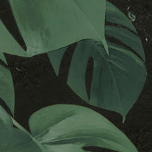 Carregar imagem no visualizador da galeria, MONSTERA ON MARBLE