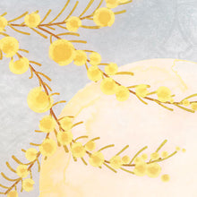 Carregar imagem no visualizador da galeria, SOL