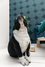 Charger l'image dans la galerie, TOUT AUTOUR