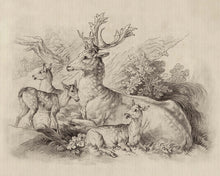 Carregar imagem no visualizador da galeria, ON THE GRASS