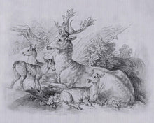 Carregar imagem no visualizador da galeria, ON THE GRASS