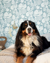 Charger l'image dans la galerie, BALLADE