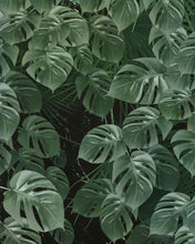 Carregar imagem no visualizador da galeria, MONSTERA ON MARBLE