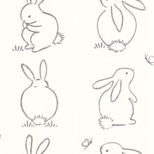 Lade das Bild in den Galerie-Viewer, FUNNY BUNNY
