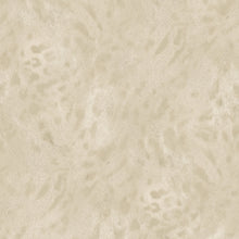 Lade das Bild in den Galerie-Viewer, LEOPARD
